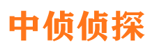 达日寻人公司